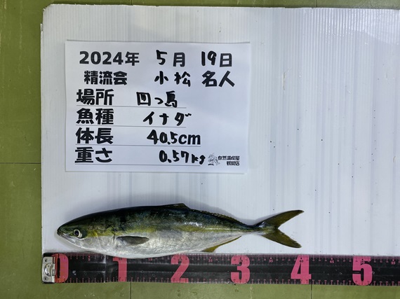 自然満喫屋 釣果情報